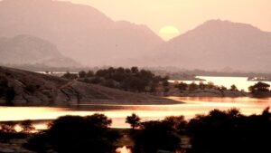 Jawai-Pug-Mark-Soul-of-Rajasthan