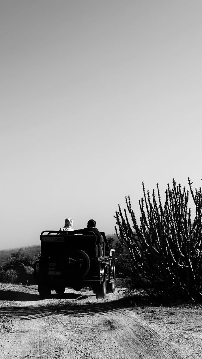 A black and white image of an open jeep on a safari road.